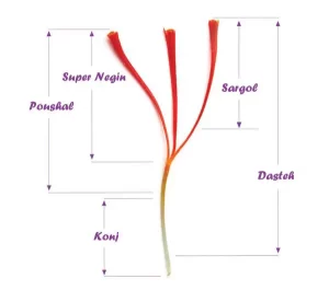 Different types of saffron