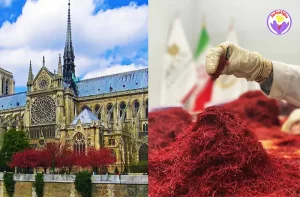 Selling saffron in France