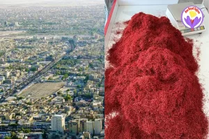 Saffron price in Baghdad per gram - Ana Qayen saffron