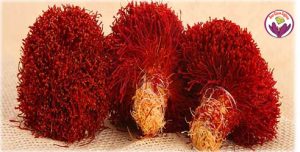 Iran saffron export