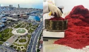 Cultivation of saffron in Libya - Ana Qayen saffron