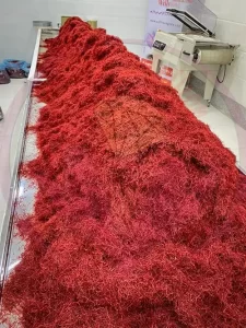 Saffron price in Libya - Ana Qayen saffron