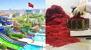 Saffron Price in Turkey