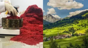 Original saffron price in Switzerland per gram