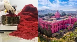 Buy Saffron In Bangladesh - Ana Qayen saffron