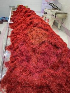 The price of saffron in Uruguay