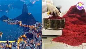 Suppliers of saffron in Brazil - Ana Qayen saffron