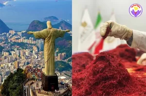  The price of a kilo of saffron in Brazil - Ana Qayen saffron