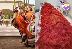 Iranian saffron price in Mexico - Ana Qayen saffron