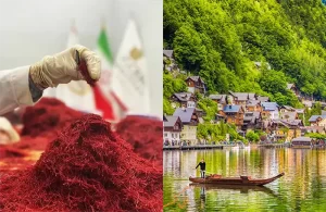 saffron in Austria - Ana Qayen saffron 