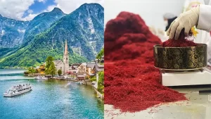saffron price per kg euro in Austria - Ana Qayen saffron