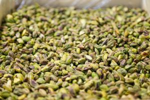 Export of first class pistachios to Europe