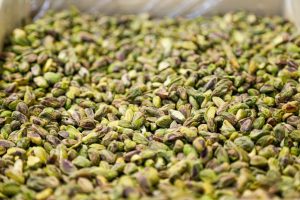 The Iranian Pistachio Industry