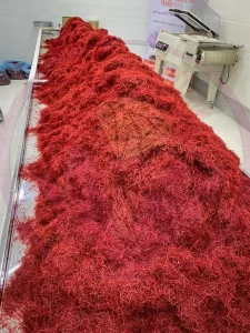 Buying saffron in Tunisia