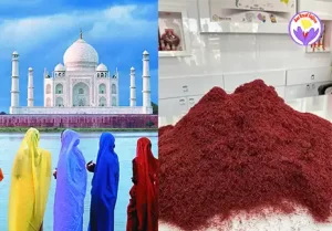 Saffron price in India per kg - Ana Qayen saffron