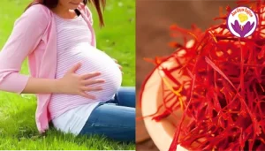saffron when pregnant - Ana Qayen saffron