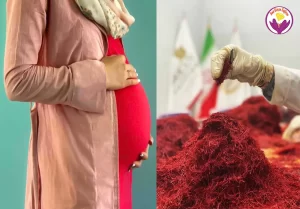 saffron in pregnancy - Ana Qayen saffron