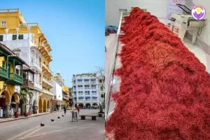 The price of saffron in Colombia per kilo - Ana Qayen saffron