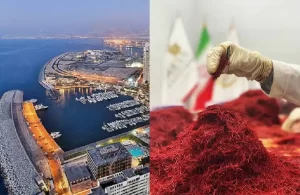 Bulk saffron in Lebanon - Ana Qayen saffron