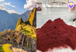 Saffron supplier in Peru - Ana Qayen Safran