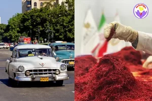 Original saffron supplier in Cuba - Ana Qayen saffron