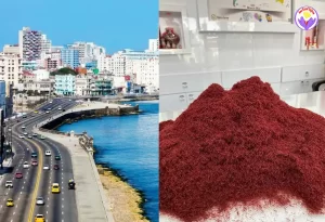 Price of saffron in Cuba - Ana Qayen saffron