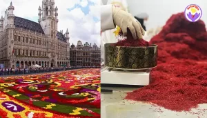 Buy wholesale saffron in Belgium - Ana Qayen saffron