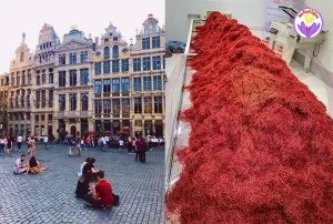 Iranian Saffron in Belgium - Ana Qayen saffron