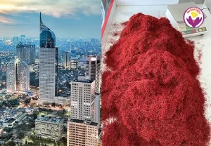 Buy saffron in Indonesia - Ana Qayen saffron