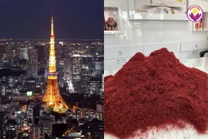 Buy saffron in Japan - Ana Qayen saffron