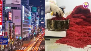 Saffron price in Japan - Ana Qayen saffron