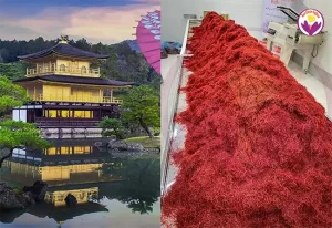 The price of saffron in Japan - Ana Qayen saffron