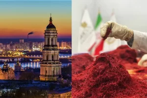 Saffron supplier in Ukraine - Ana Qayen saffron