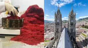 Where to buy saffron in Ecuador? - Ana Qayen saffron