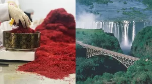 Buying saffron in Zambia - Ana Qayen saffron