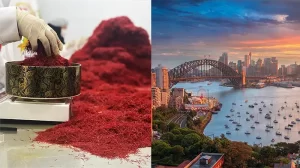 saffron price per kg australia - Ana Qayen saffron