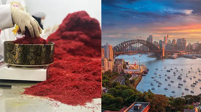 saffron-in-australia-saffron-price-in-australia-ana-qayen