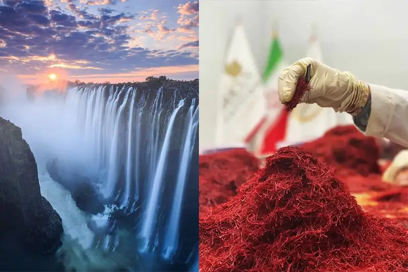 Saffron Price In South Africa + Buy Saffron In South Africa Ana Qayen