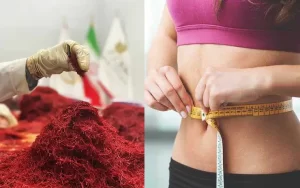 How to use saffron for weight loss? - Ana Qayen saffron