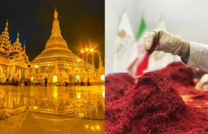 Saffron supplier in Myanmar - Ana Qayen saffron