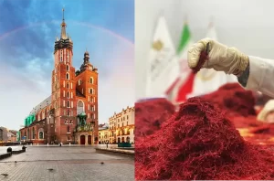 Where to buy saffron in Poland? - Ana Qayen saffron