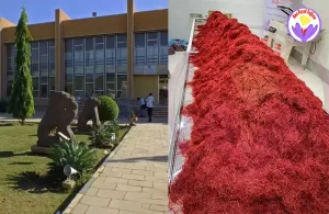 The price of a kilo of saffron in Sudan - Ana Qayen saffron