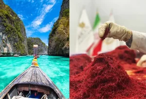 Saffron in Thailand - Ana Qayen saffron