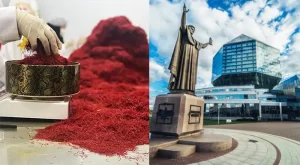 Saffron supplier in Belarus - Ana Qayen saffron