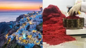 saffron price euro in Greece - Ana Qayen saffron