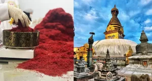Saffron price in Nepal - Ana Qayen saffron