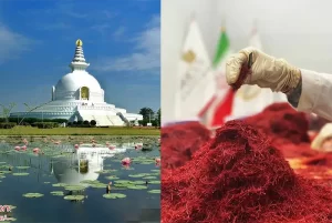 Where to buy saffron in Nepal? - Ana Qayen saffron