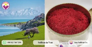 saffron price in van