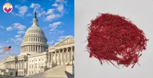 Saffron price in washington per kg