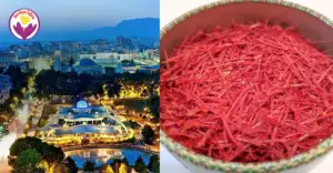 saffron in Albania